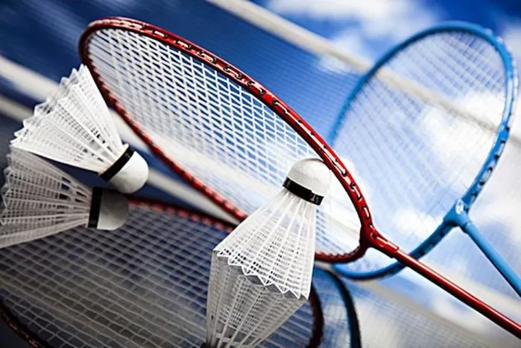 Toàn Tập Cách Chơi Cá Cược Cầu Lông Tại Nohu90 Dành Cho Fan 1 Toàn Tập Cách Chơi Cá Cược Cầu Lông Tại Nohu90 Dành Cho Fan