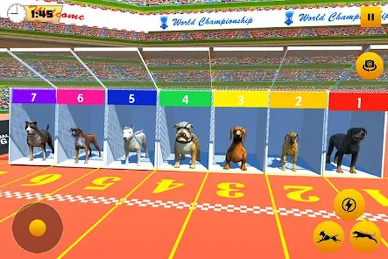 Mẹo Chơi Game Nhanh Đua Chó Tại Nohu90 Từ Chuyên Gia Hàng Đầu 2 Mẹo Chơi Game Nhanh Đua Chó Tại Nohu90 Từ Chuyên Gia Hàng Đầu