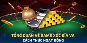 Trò Chơi Xóc Đĩa Tại Nohu90 Đánh Giá Từ Chuyên Gia 2025 6 Trò Chơi Xóc Đĩa Tại Nohu90 Đánh Giá Từ Chuyên Gia 2025